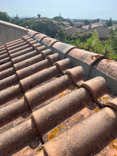 Faîtière réparée en fin de chantier
